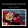Strangers Almanac